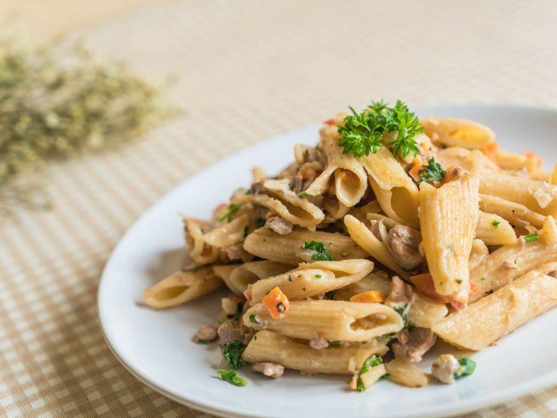 7 Tasty Pasta Side Dishes For Salmon Creamy Cheese Pasta Side Dish for Salmon