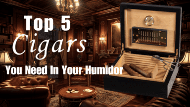 your metabolism 5 Cigars You Must Have On Hand